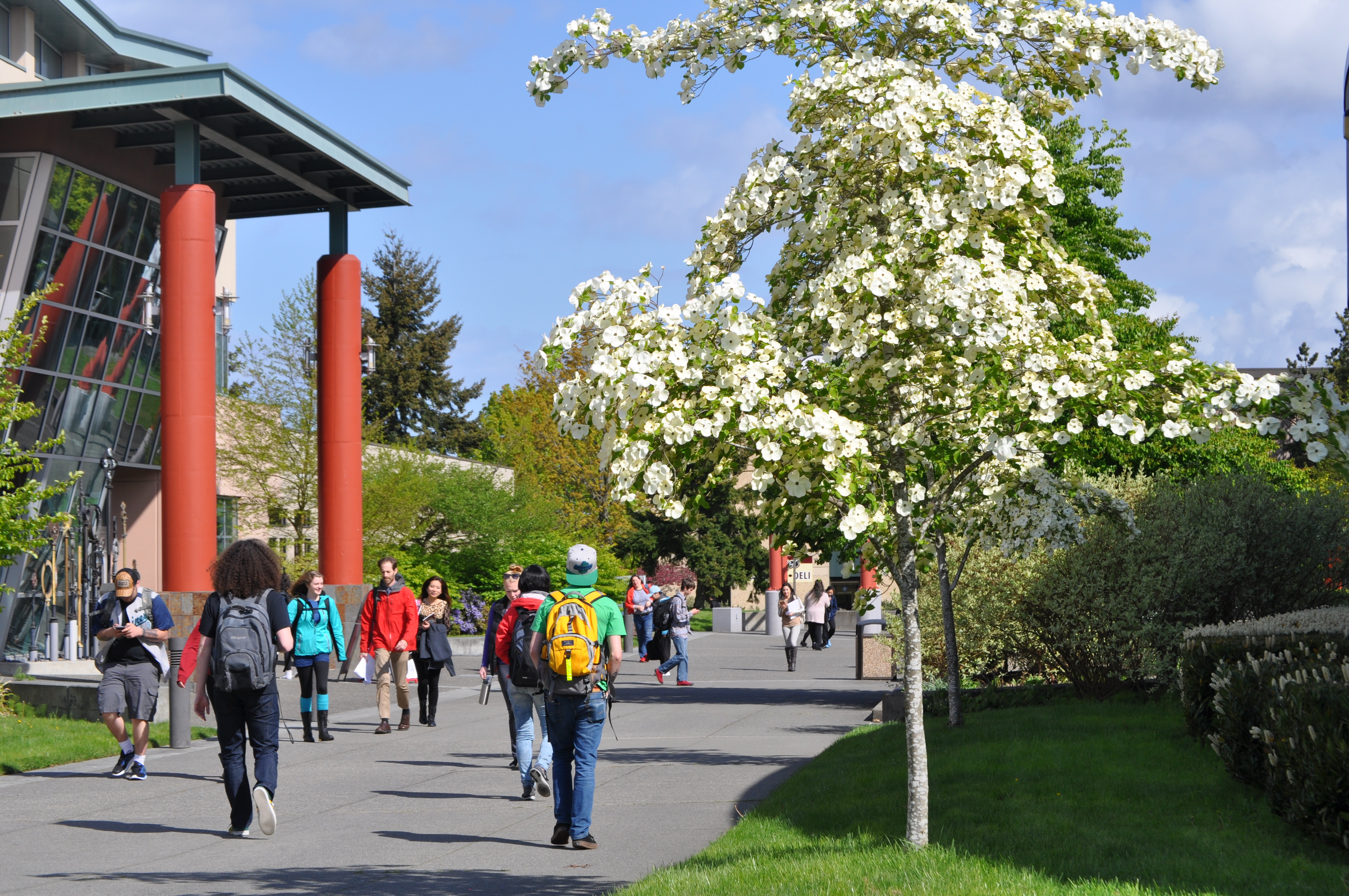 Campus with students walking 