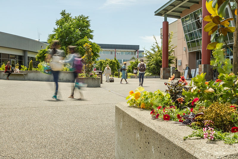 South Seattle College campus flowers and students 