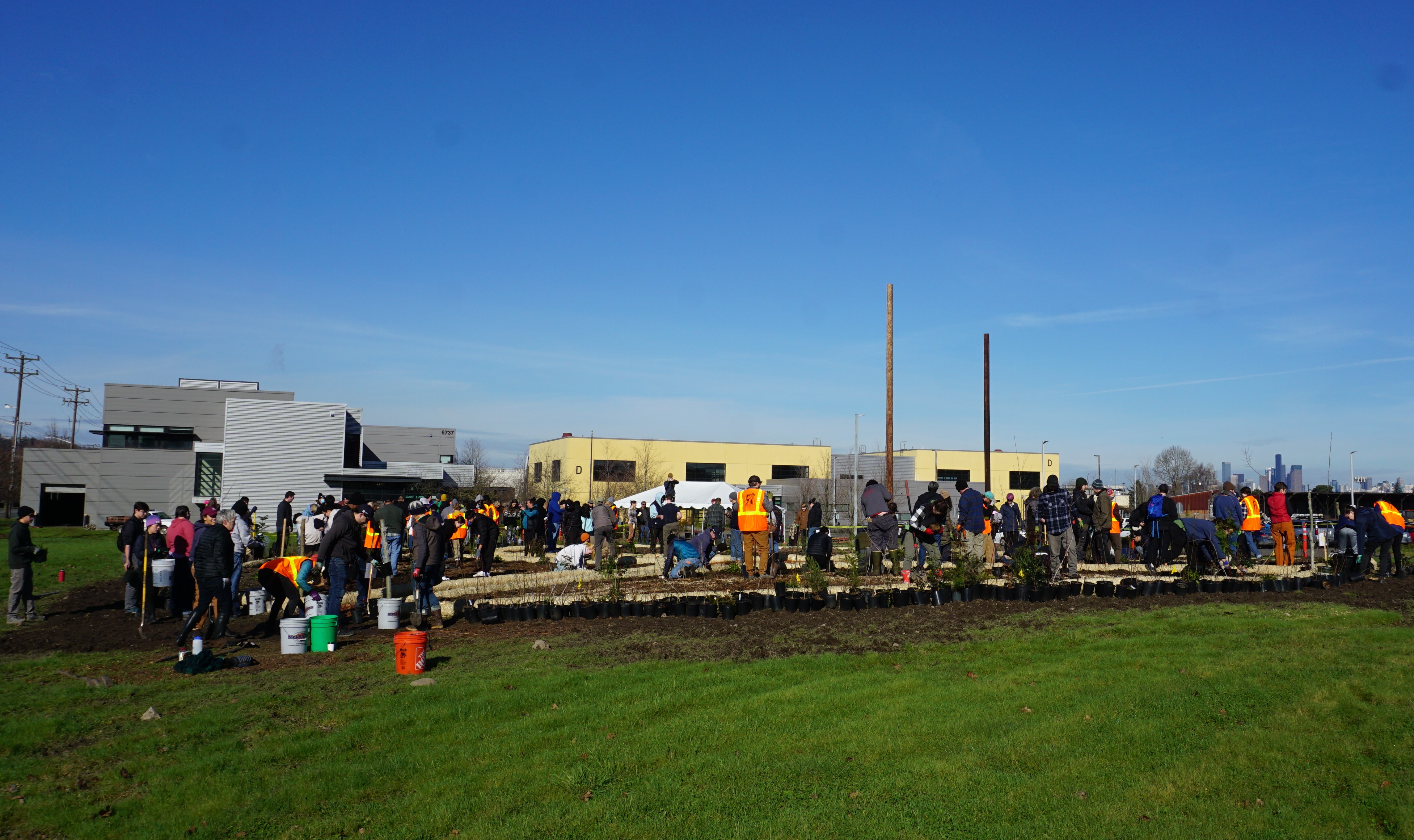 Image of volunteers planting the Georgetown Community Forest at South's Georgetown Campus on February 10, 2024.