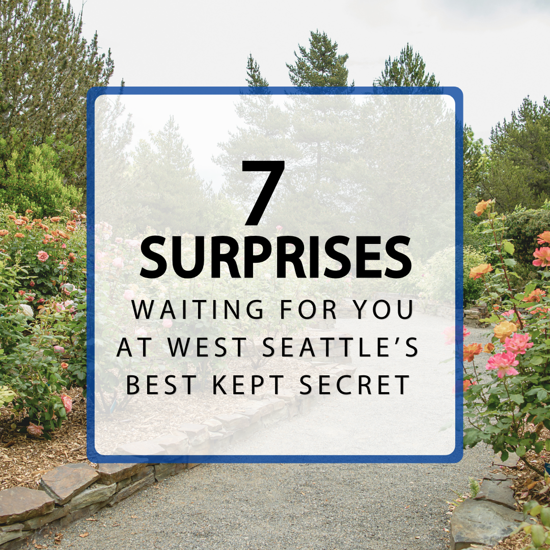 Blog post picture of 7 surprises title frame